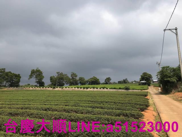 新竹農地-2