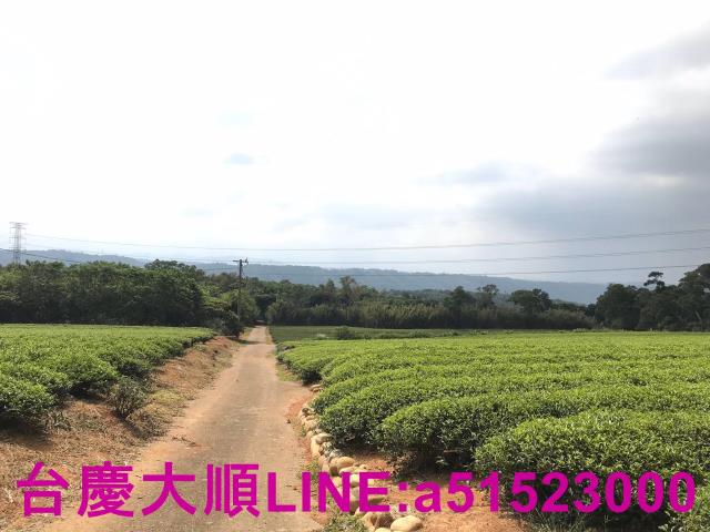 新竹農地-3