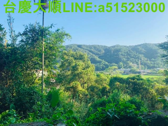 新埔山坡地-1