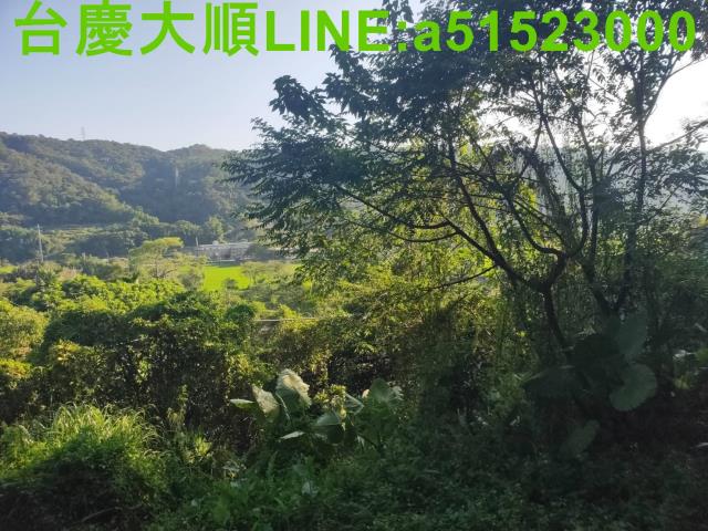 新埔山坡地-6