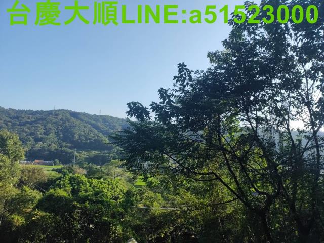 新埔山坡地-7