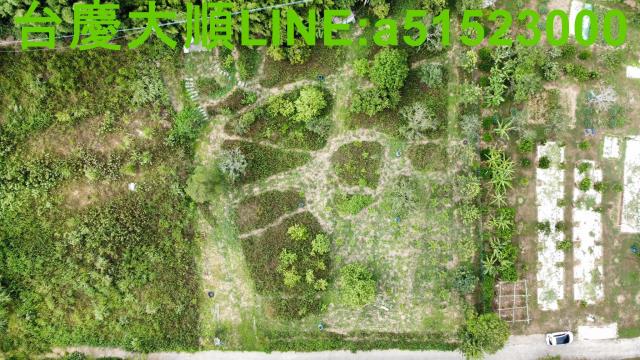 新竹新埔農地-9