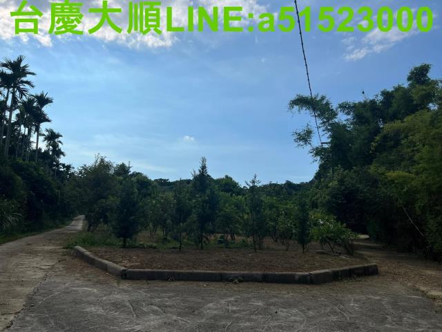新竹新埔農地-0