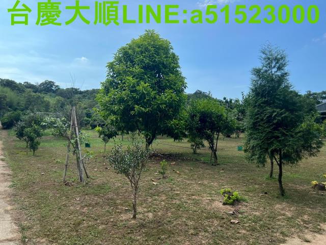 新竹新埔農地-2