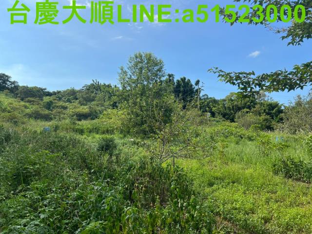 新竹新埔農地-3