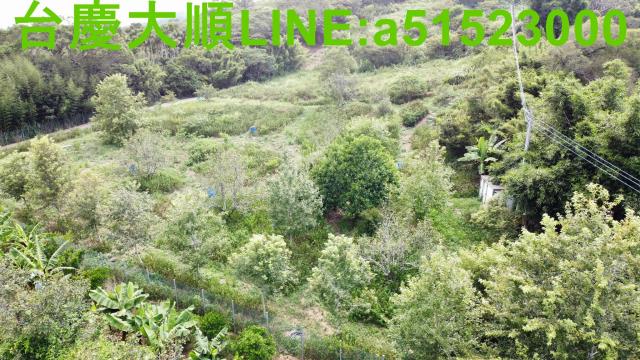 新竹新埔農地-6