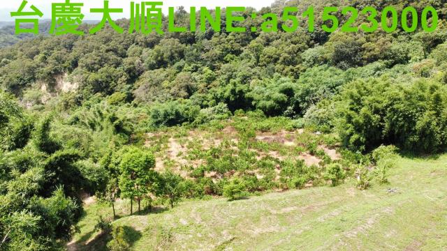新竹農地-12