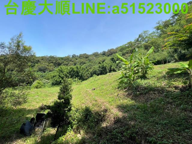 新竹農地-13