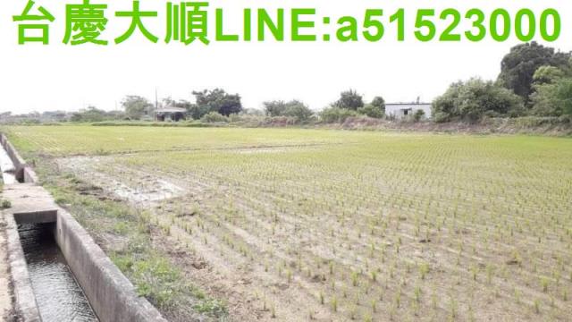 新竹新埔農地-9