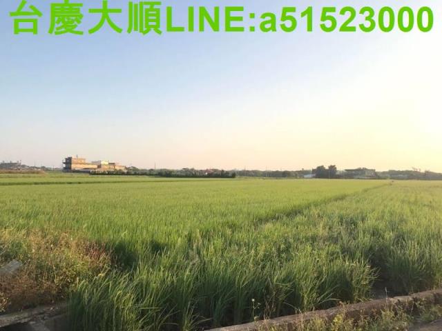 新竹新埔農地-11