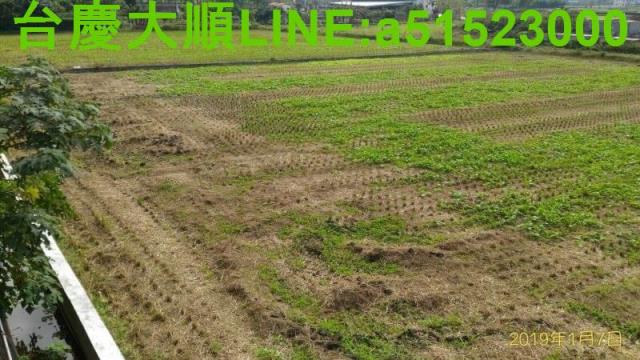 新竹新埔農地-13