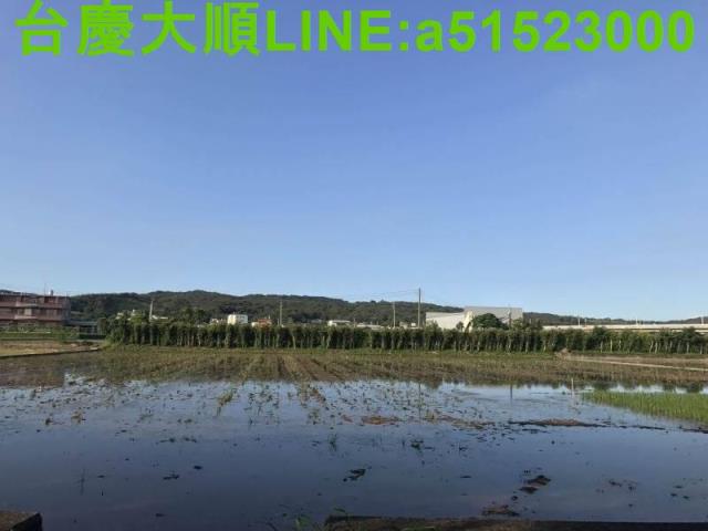 新竹新埔農地-6