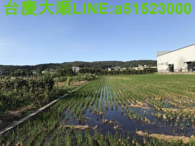 新竹新埔農地-7