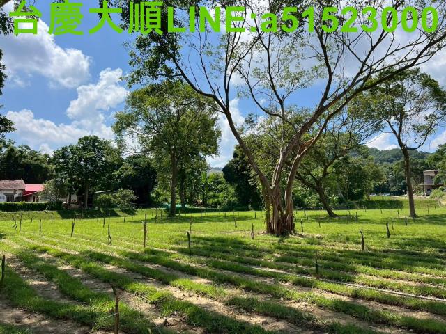 新竹農地-12