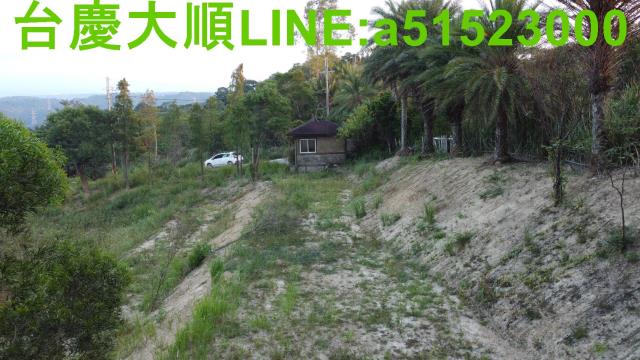 新埔農地-9