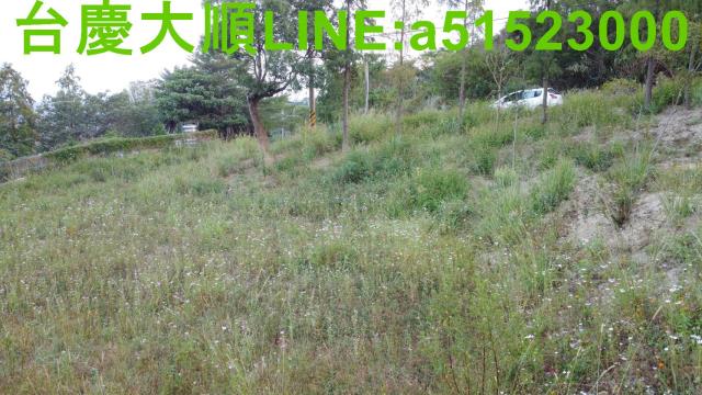 新埔農地-10