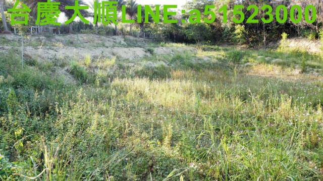 新埔農地-3