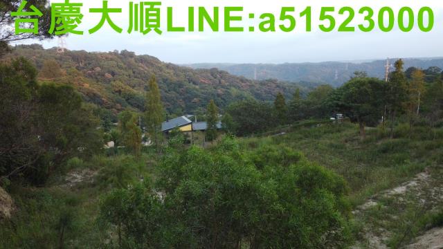 新埔農地-8