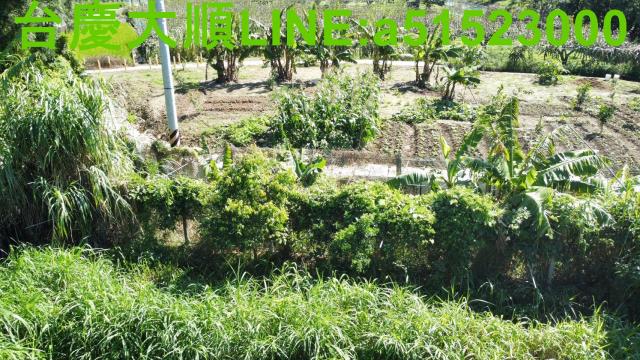 新竹農地-14